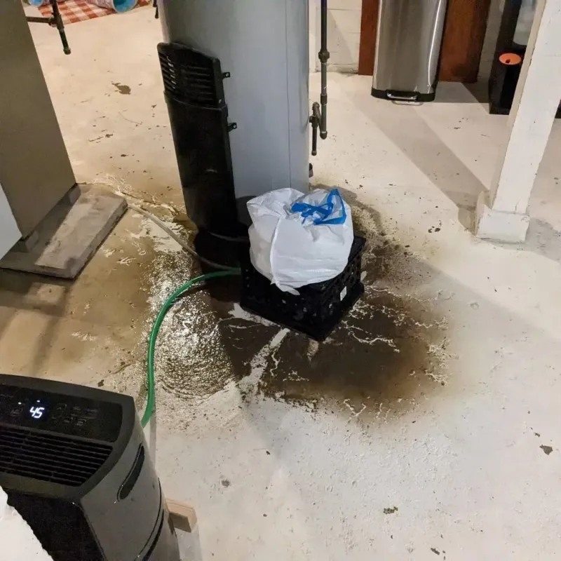 Sewage Backup Cleanup Service in Riverdale, NJ